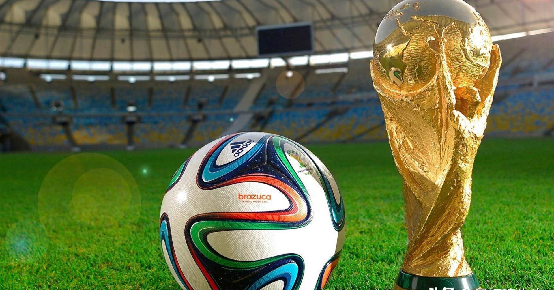 非全无长处 非全无长处